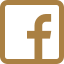 Icone Facebook